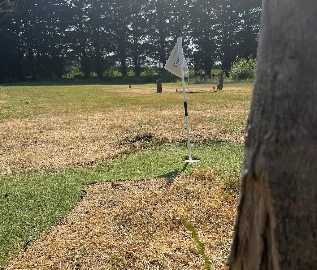 The Mini Links course
